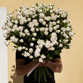 Букет из 27 кустовых роз (80 см) в Солнечногорске