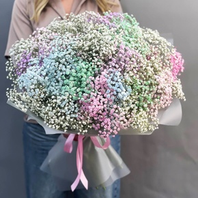 Букет "Леденец" из 25 радужных гипсофил  в Солнечногорске