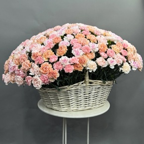 Композиция в корзине из 251 диантуса микс в Солнечногорске