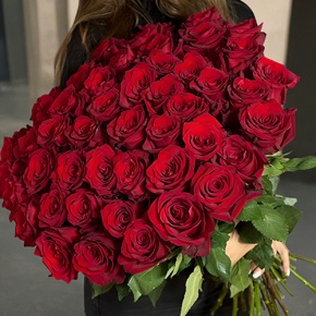 Букет 51 роза Эквадор Эксплорер (60 см) в Солнечногорске