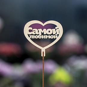 Топпер Самой Любимой в Солнечногорске