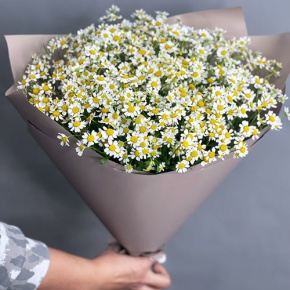 Букет из 17 ромашек танацетум в Солнечногорске
