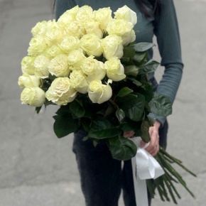 Монобукет из 25 роз Эквадор Мондиаль (80 см) в Солнечногорске