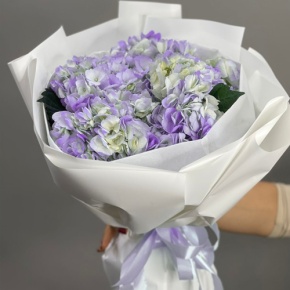 Букет из 5 фиолетовых гортензий в Солнечногорске