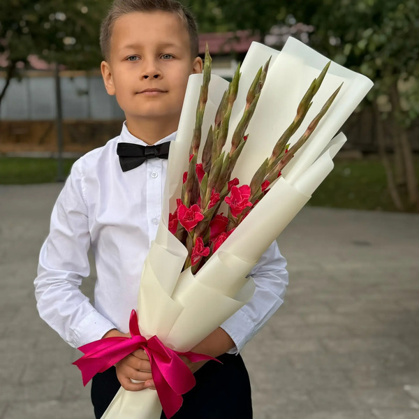 Букет на 1 сентября из 7 малиновых гладиолусов в Солнечногорске