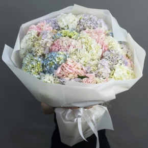 Букет из 23 гортензий микс в Солнечногорске