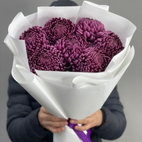 Букет "Винная легенда" из 7 хризантем Бигоуди в Солнечногорске