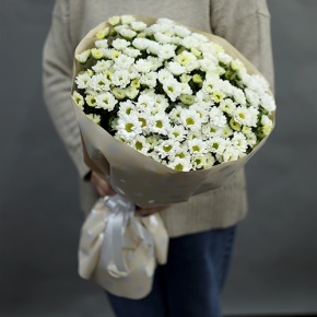 Букет "Милая моя" из 17 хризантем сантини в Солнечногорске