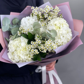 Букет "Суприм" из гортензий и хамелациума в Солнечногорске
