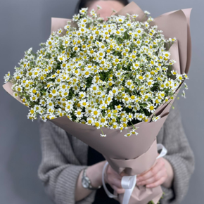 Букет из 17 полевых ромашек в Солнечногорске