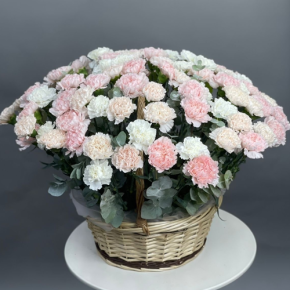 Композиция в корзине из 101 диантуса микс в Солнечногорске
