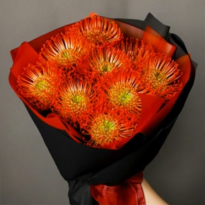 Букет из 9 лейко в Солнечногорске