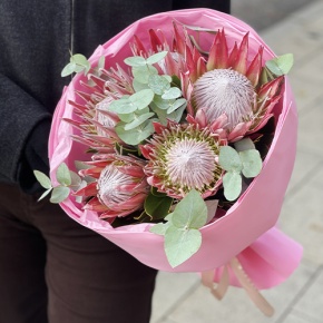 Букет из 5 протей и эвкалипта в Солнечногорске