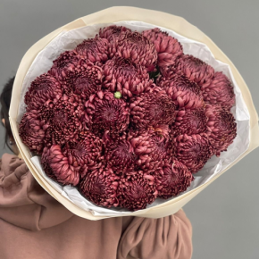 Букет 21 шоколадной хризантемы Бигоуди в Солнечногорске