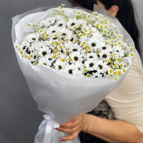Букет "Понарошку" из хризантем сантини и ромашек в Солнечногорске