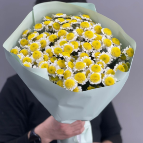 Букет "Моё солнышко" из 17 хризантем сантини  в Солнечногорске