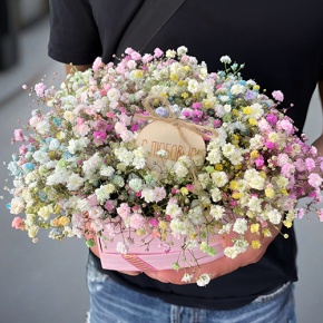 Композиция в коробке сердца из радужных гипсофил с топпером в Солнечногорске