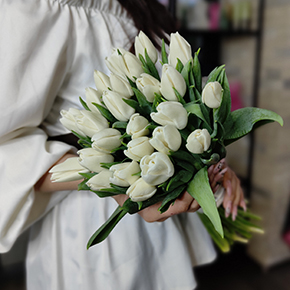 Букет белоснежных тюльпанов (25 шт) в Солнечногорске