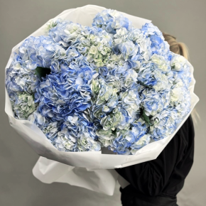 Букет из 23 синих гортензий в Солнечногорске