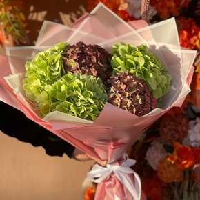 Букет из Голландских гортензий микс в Солнечногорске