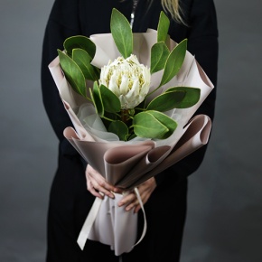 Букет "Великолепная" из экзотичной протеи в Солнечногорске