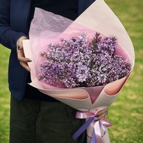 Букет из 11 веток сирени в Солнечногорске