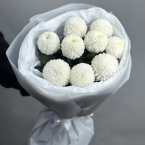 Букет из 9 белых хризантем Момоко в Солнечногорске