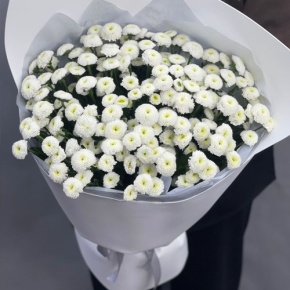 Букет "Белая дымка" из 25 хризантем сантини в Солнечногорске