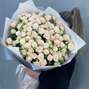 Букет из 25 кремовых кустовых роз (70 см) в Солнечногорске