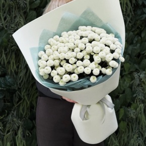 Букет из 25 хризантем Ньютон в Солнечногорске