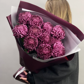 Букет "Изобилие" из 11 винных хризантем Бигоуди в Солнечногорске