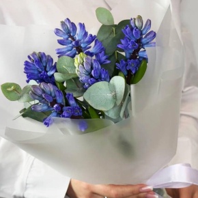Букет "Мини" из 5 ароматных гиацинтов и эвкалипта в Солнечногорске