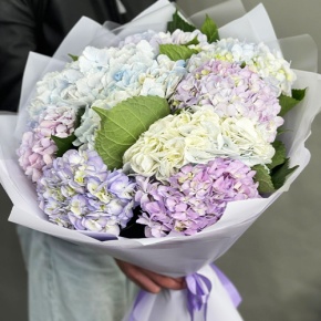 Букет из 9 Голландских гортензий микс в Солнечногорске