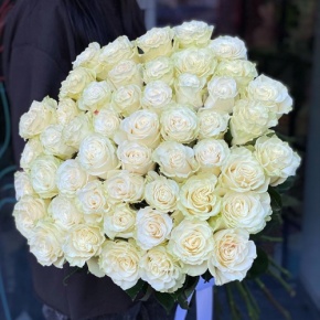 Букет из 51 розы Эквадор Мондиаль под ленту (80 см) в Солнечногорске