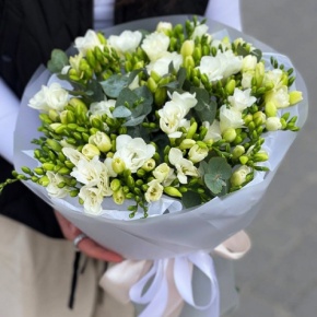 Букет из 51 белой фрезии в Солнечногорске