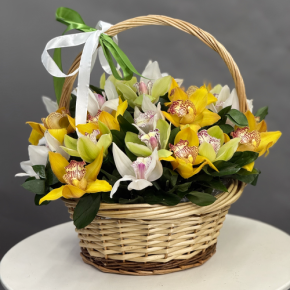 Композиция в корзине из 25 орхидей микс в Солнечногорске