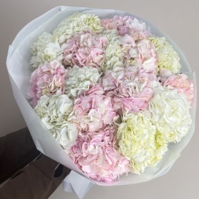 Букет из 17 нежных гортензий в Солнечногорске