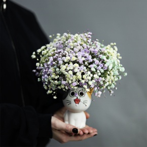 Композиция из гипсофил в керамическом кашпо в Солнечногорске