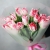 Букет "Фламинго" из 11 пионовидных тюльпанов в Солнечногорске Букет "Фламинго" из 11 пионовидных тюльпанов в Солнечногорске