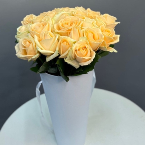 25 кремовых роз в конусе в Солнечногорске