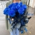 15 синих LUX роз Эквадор (70 см) в Солнечногорске 15 синих LUX роз Эквадор (70 см) в Солнечногорске