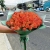 Букет из 51 мандариновой розы (40 см) в Солнечногорске Букет из 51 мандариновой розы (40 см) в Солнечногорске