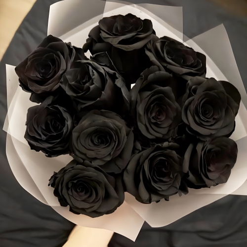 Букет "Черная королева" из 11 черных роз Эквадор (60 см) в Солнечногорске