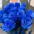 15 синих LUX роз Эквадор (70 см) в Солнечногорске 15 синих LUX роз Эквадор (70 см) в Солнечногорске