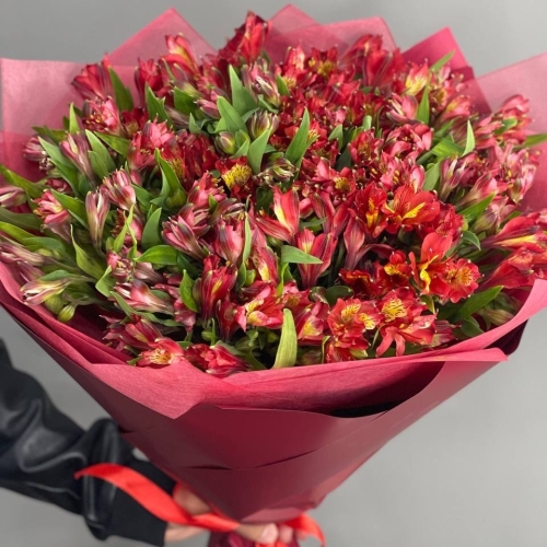 Монобукет из 25 красных альстромерий в Солнечногорске