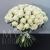 Букет 75 белых роз Эквадор Мондиаль (80 см) в Солнечногорске Букет 75 белых роз Эквадор Мондиаль (80 см) в Солнечногорске
