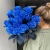 15 синих LUX роз Эквадор (70 см) в Солнечногорске 15 синих LUX роз Эквадор (70 см) в Солнечногорске