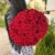 Букет 51 красной розы 50 см в Солнечногорске Букет 51 красной розы 50 см в Солнечногорске