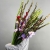 Букет из 25 гладиолусов микс в Солнечногорске Букет из 25 гладиолусов микс в Солнечногорске