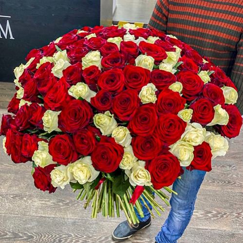 Букет 151 роза красный и белый микс (60 см) в Солнечногорске